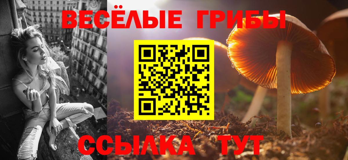 Галлюциногенные грибы мицелий  Вход с VPN  Советский  Псилоцибиновые грибы мухоморы 