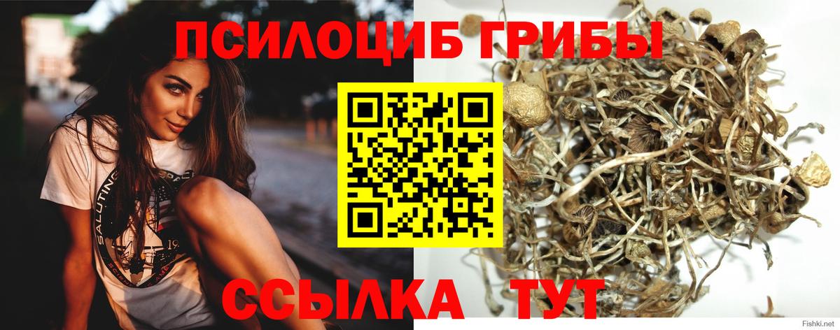 Галлюциногенные грибы Cubensis Советский